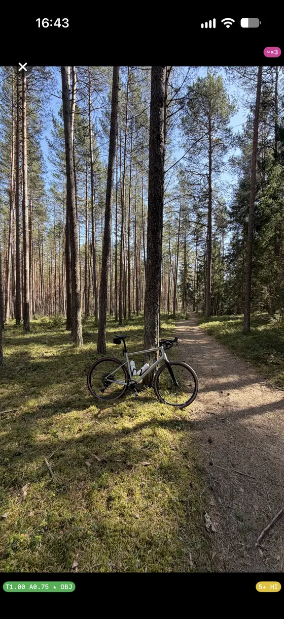 A bike photographed on a forest trail with a Strava activity card overlaid